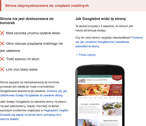 Mobilna wersja strony - test