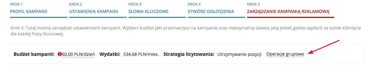 Zmiana typu dopasowania w kampanii AdWords. Seopilot krok 5