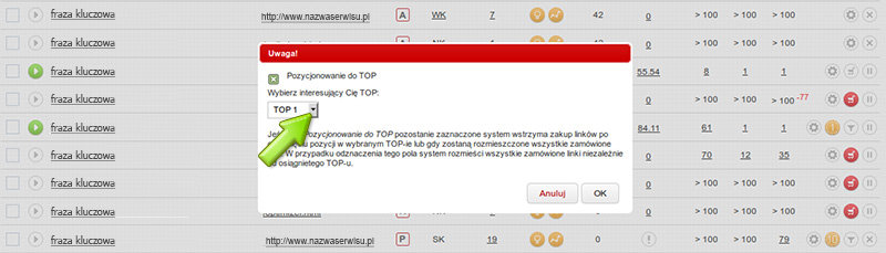 Wybór docelowego TOP w trybie Twój Budżet